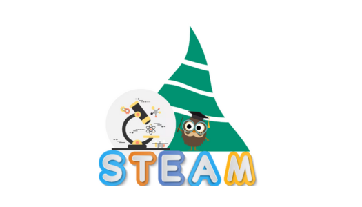 Steam veikla