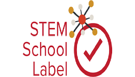 Steam shool label